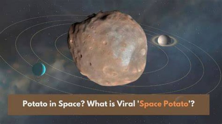 What is a space potato?