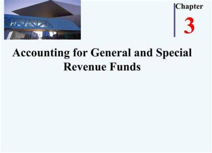 What is a special revenue fund?