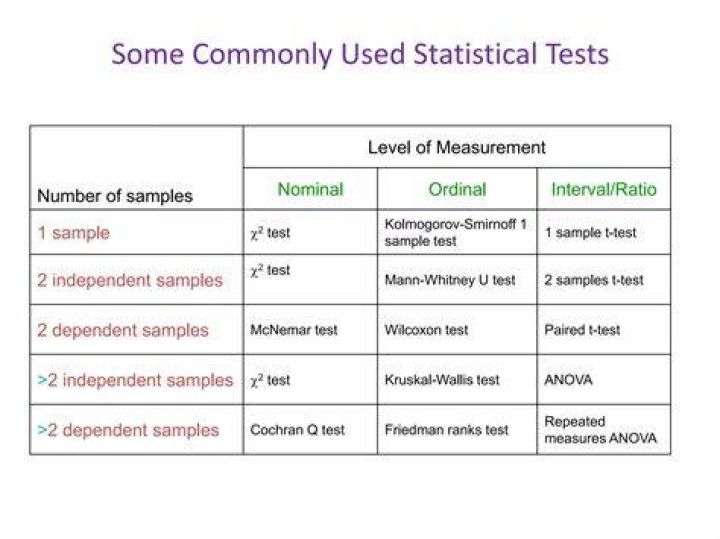 What is a statistical sample what is it used for?