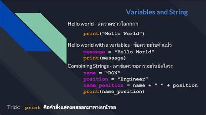 What is a string variable?