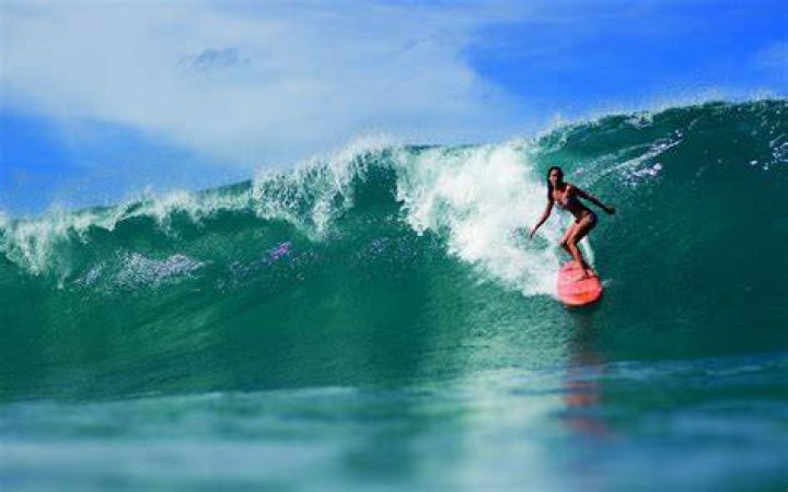 What is a surfer girl?