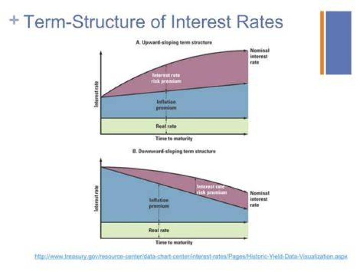 What is a term structure of interest rates?