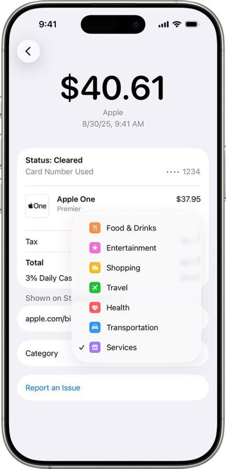 What is a transaction category?