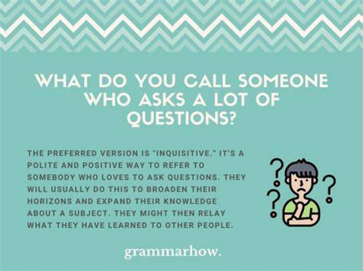 What is a word for someone who asks a lot of questions?