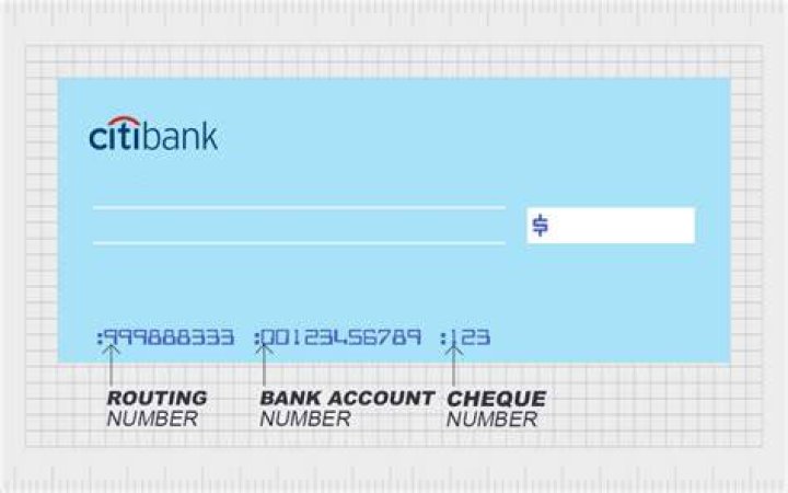 What is ABA code for Citibank?