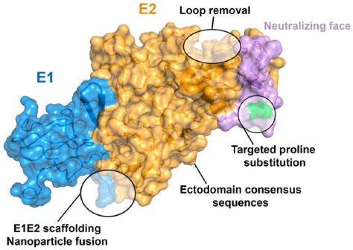 What is an E2 position?