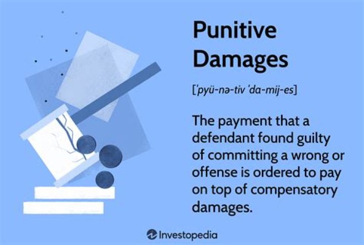 What is an example of a punitive damage?