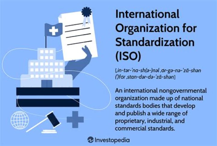 What is an example of an international organization?