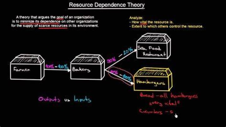 What is an example of resource dependence theory?