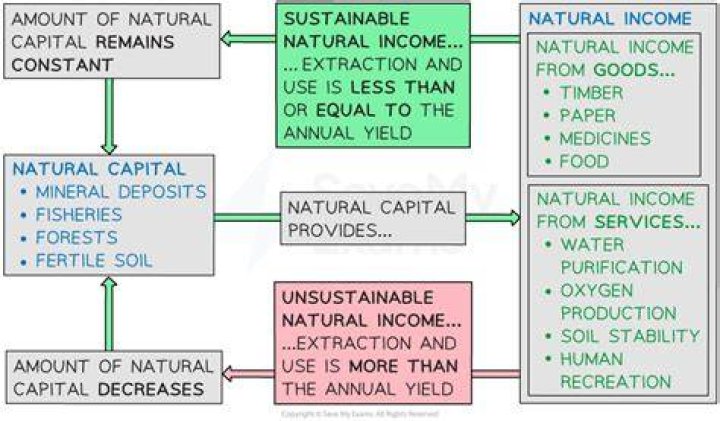 What is an example of sustainable income?