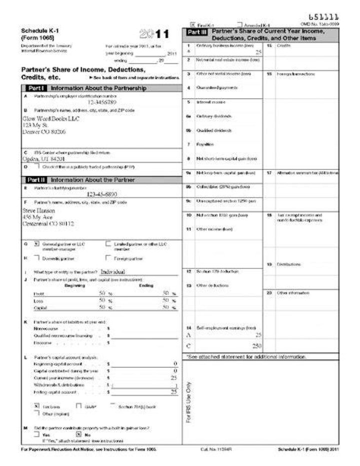 What is an IRS K 1 Form 1065?