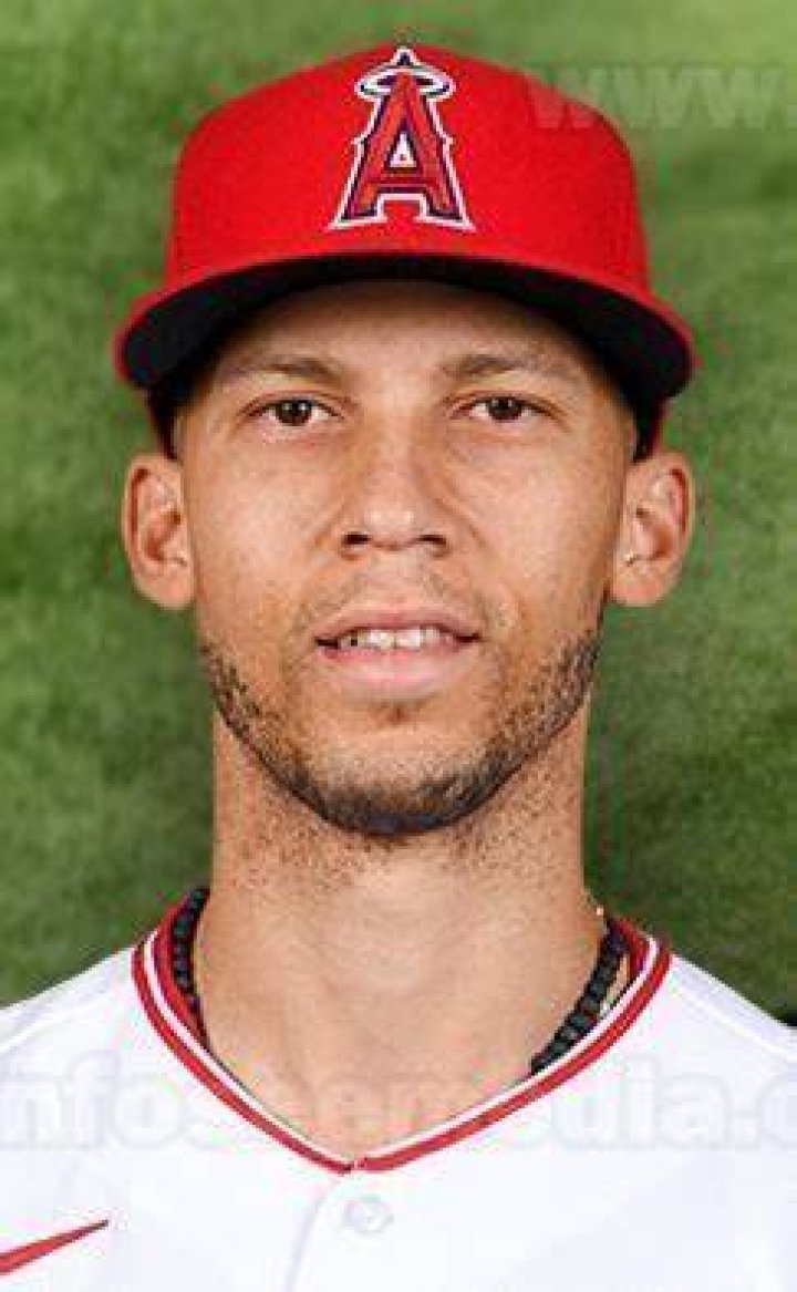 What is Andrelton Simmons net worth?