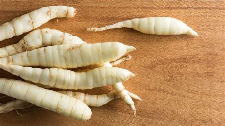 What is arrowroot powder called in English?