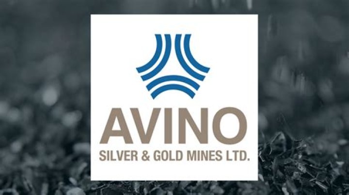 What is Avino?