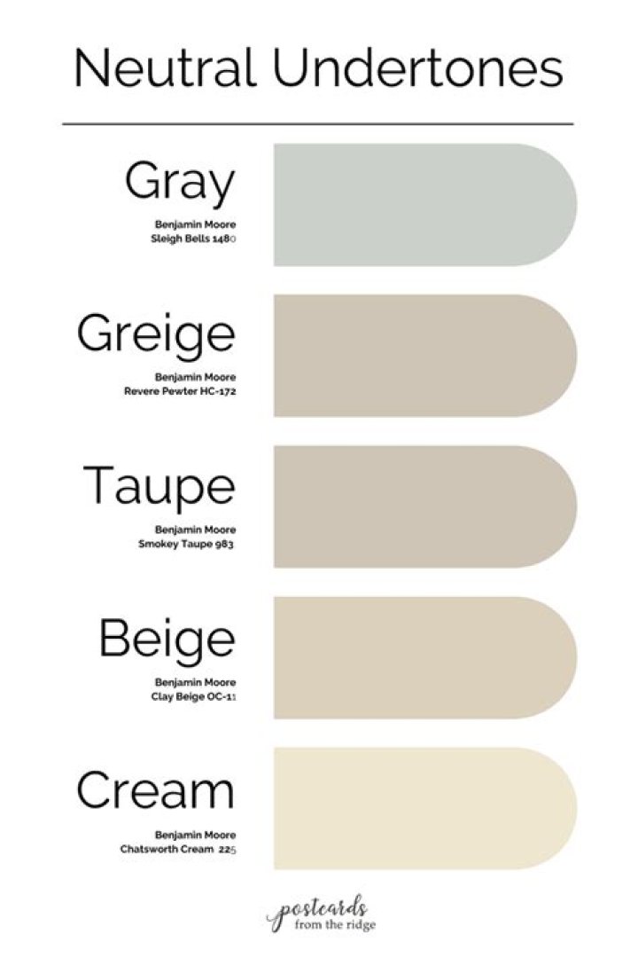 What is beige undertone?