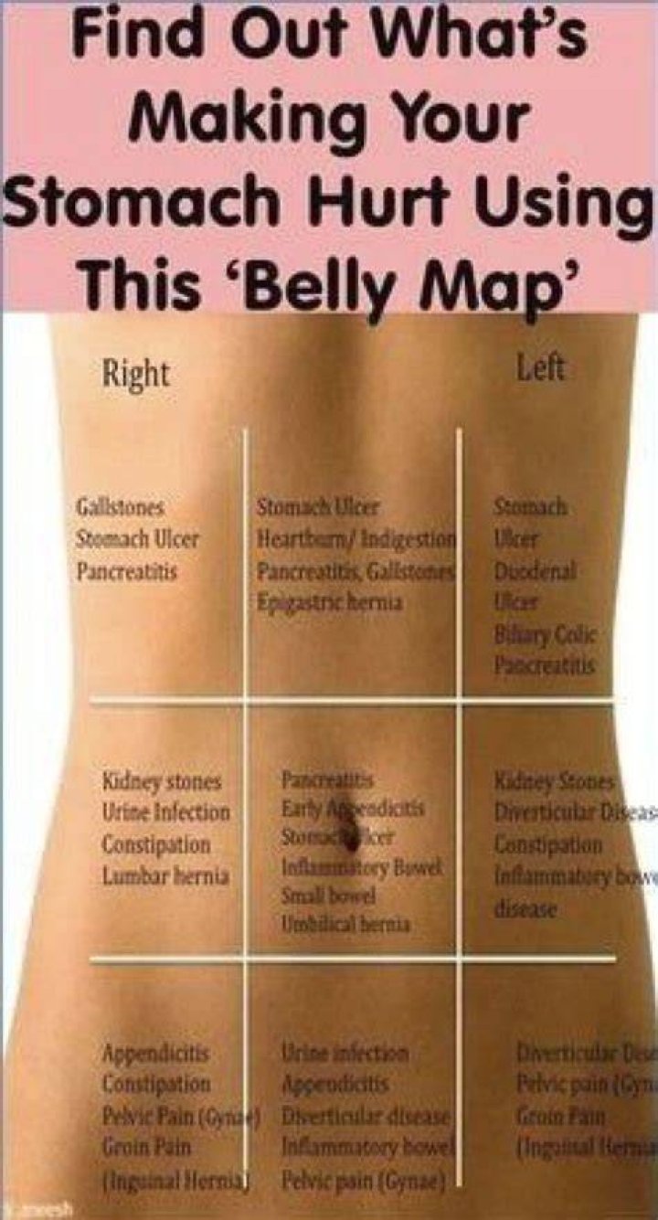 What is below the belly button?