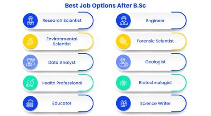 What is best option after BSc it?