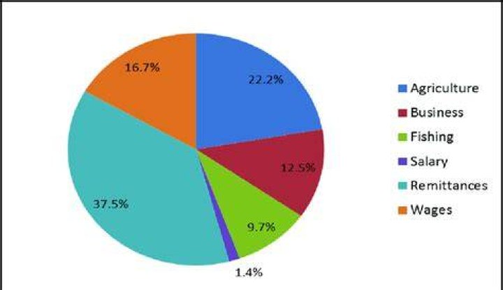 What is Bolivia main source of income?