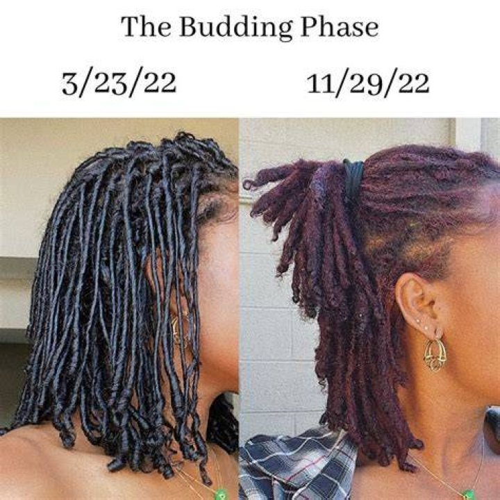 What is budding in locs?