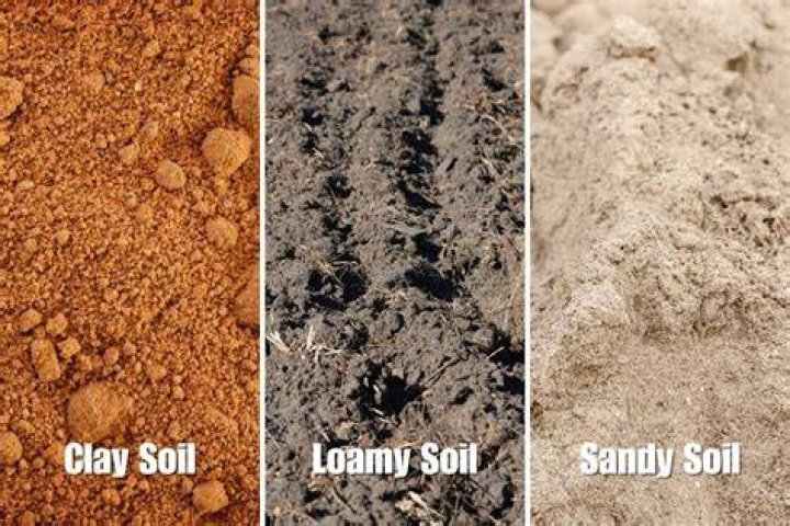 What is clay soil best used for?