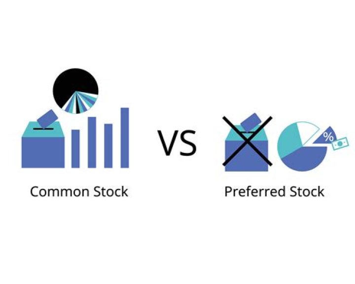 What is common stock holding?
