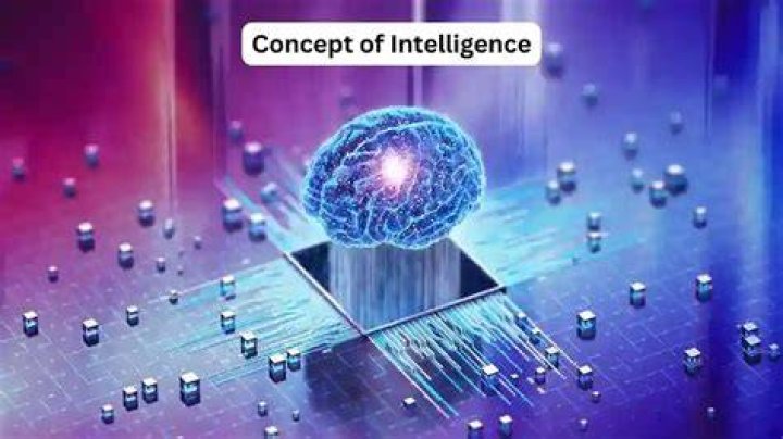 What is concept of intelligence?