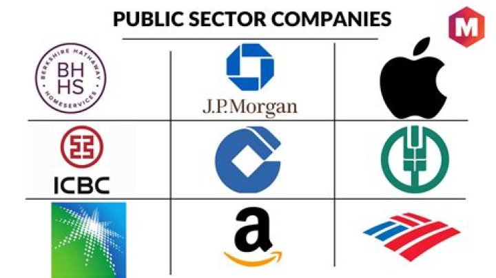 What is considered a government corporation?