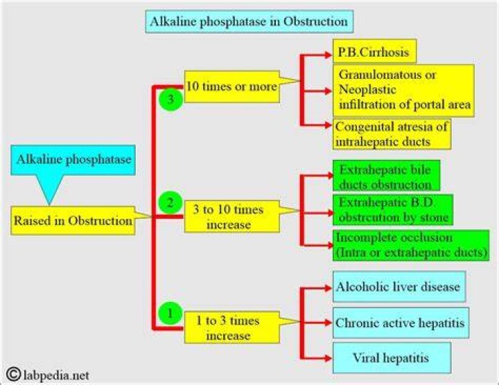 What is considered a high alkaline phosphatase reading?
