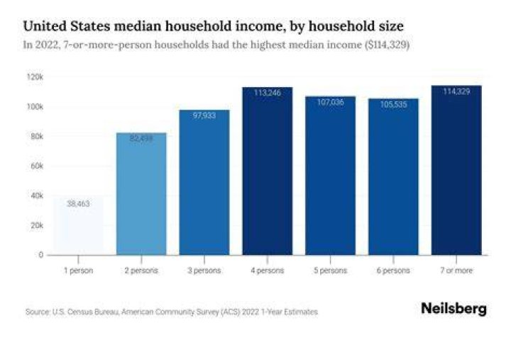 What is considered gross household income?