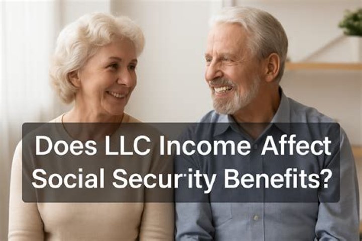 What is considered income for LLC?
