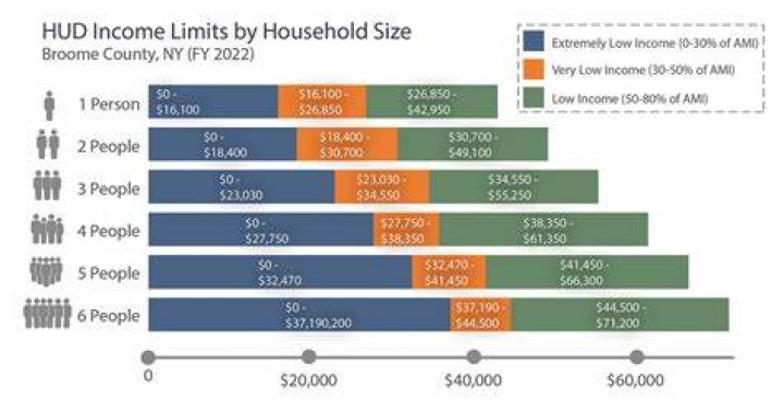 What is considered low income 2020?