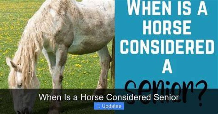 What is considered old for a horse?