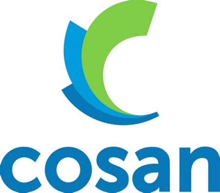 What is Cosan Ltd?