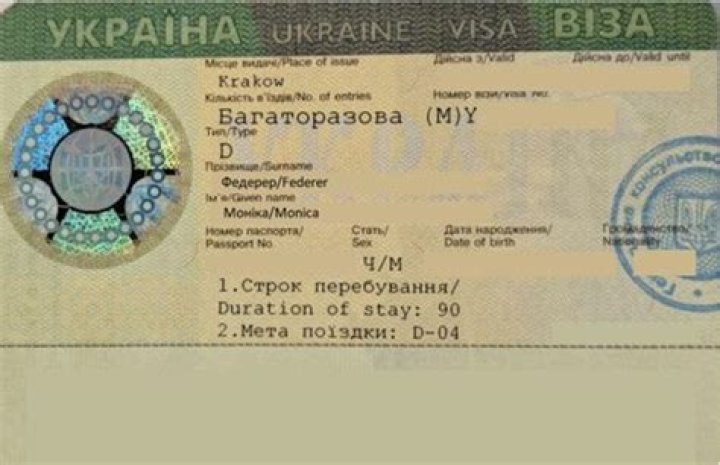 What is D 13 visa Ukraine?
