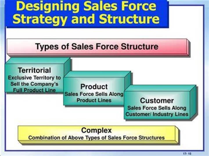 What is designing the sales force strategy and structure?