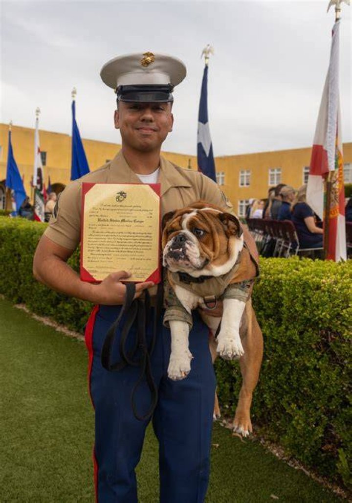 What is Devil Dog in Marine Corps?