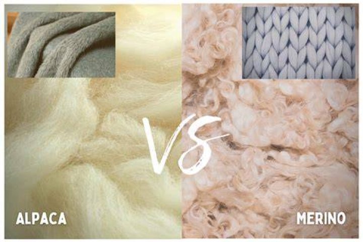 What is difference between Angora wool and merino wool?