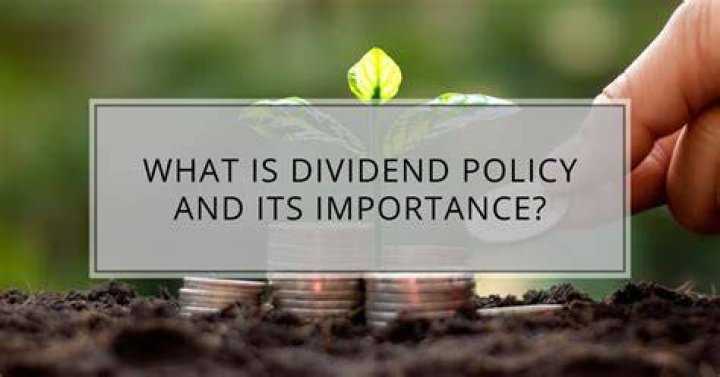What is dividend policy explain its importance?