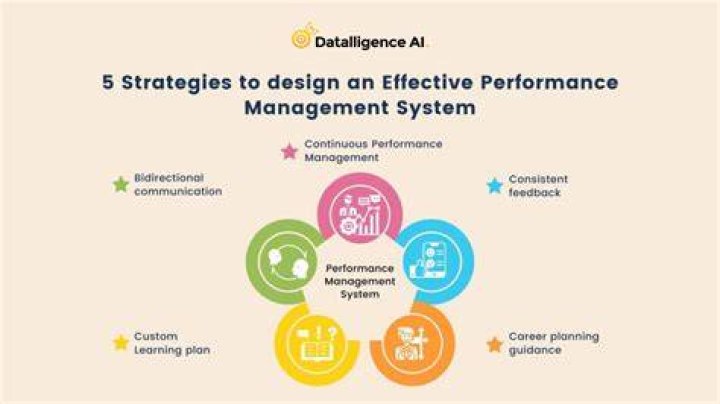 What is effective performance management system?