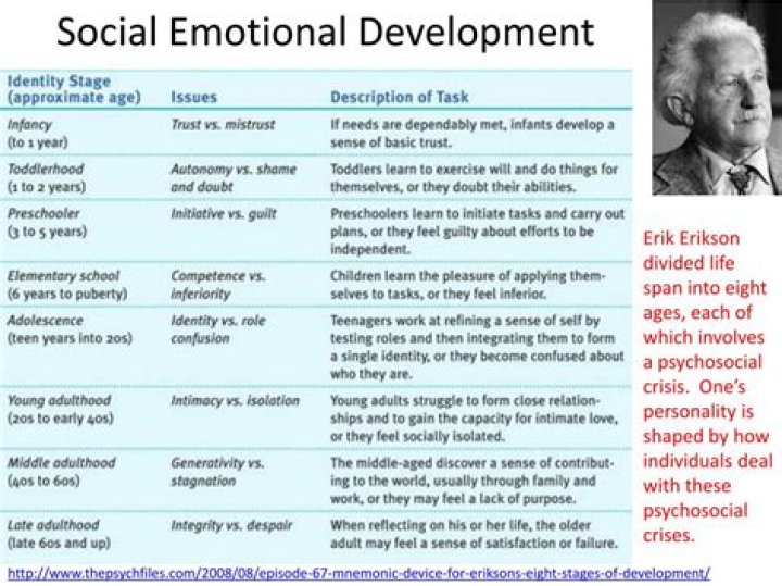 What is emotional development theory?