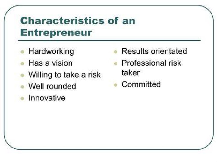 What is entrepreneur risk?