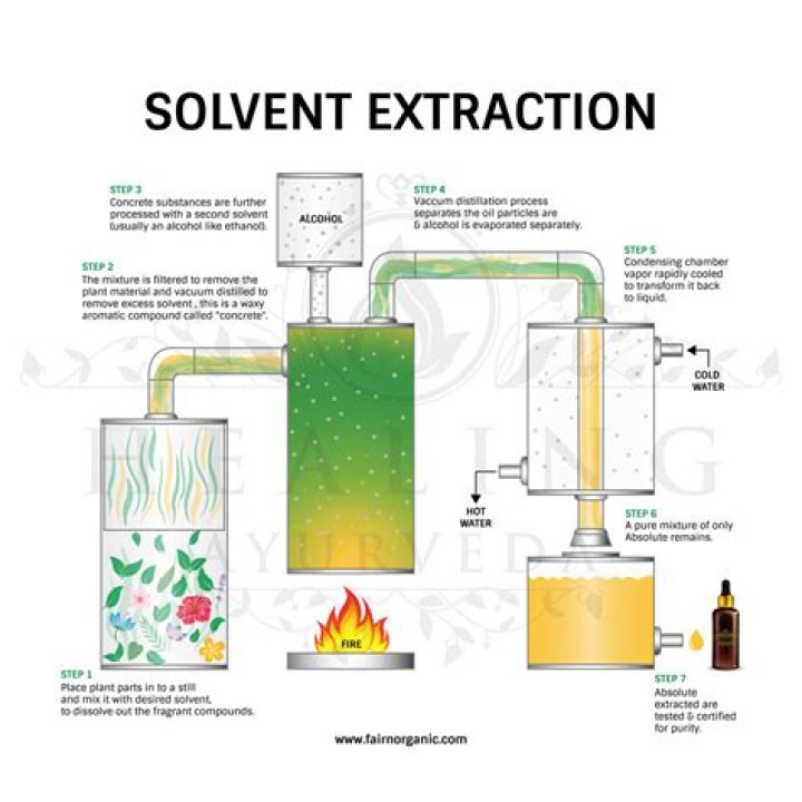 What is extraction process?