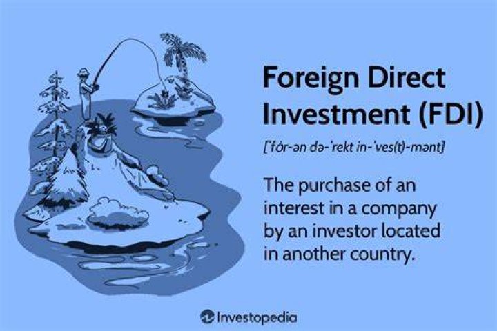 What is FDI explain it?