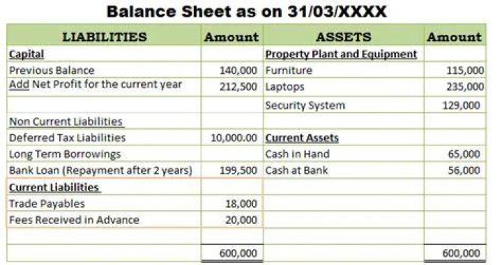 What is fees earned on a balance sheet?