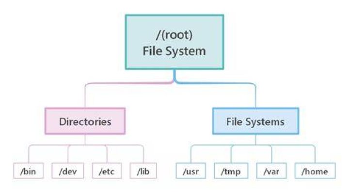 What is file explain?