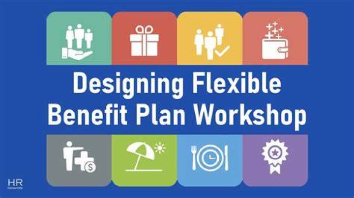 What is flexible plan?