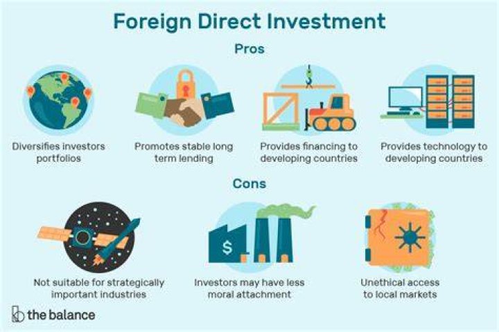 What is foreign direct investment in international business?