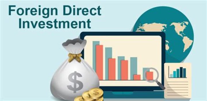 What is foreign direct investment index?