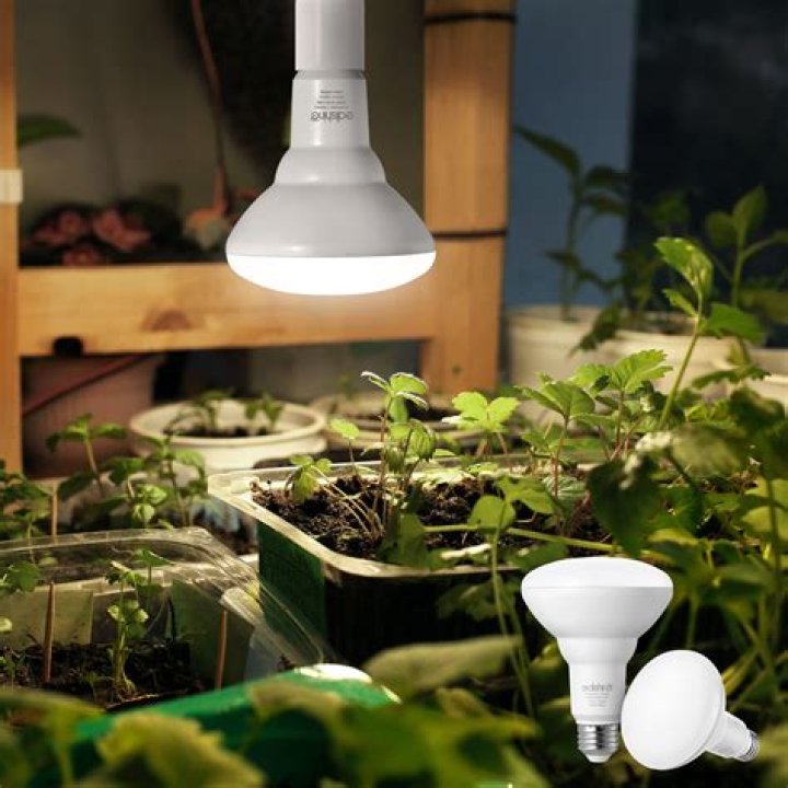 What is grow light bulb?