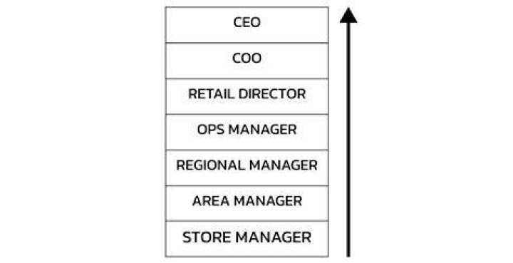What is higher than regional manager?